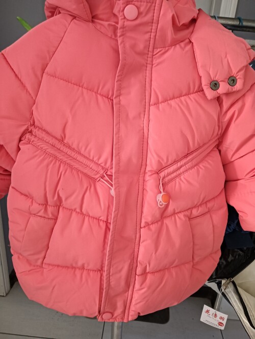 IMG20241104155754