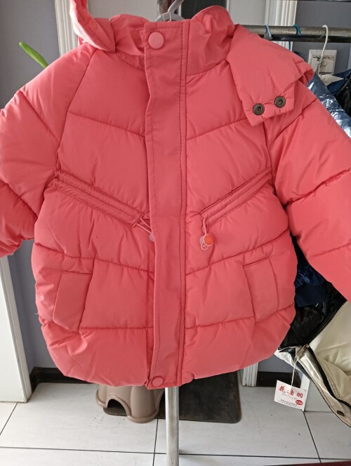 IMG20241104155540