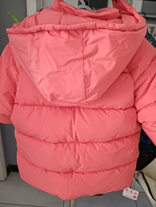 IMG20241104155814