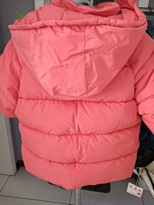 IMG20241104155805