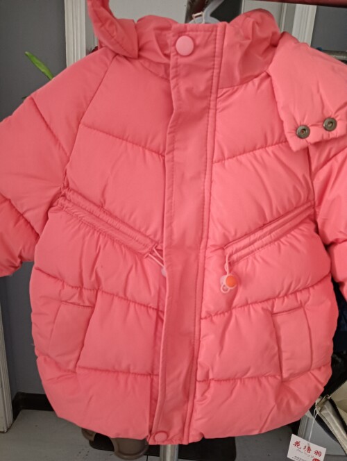 IMG20241104155518
