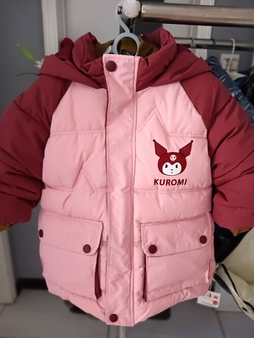 IMG20241104153549