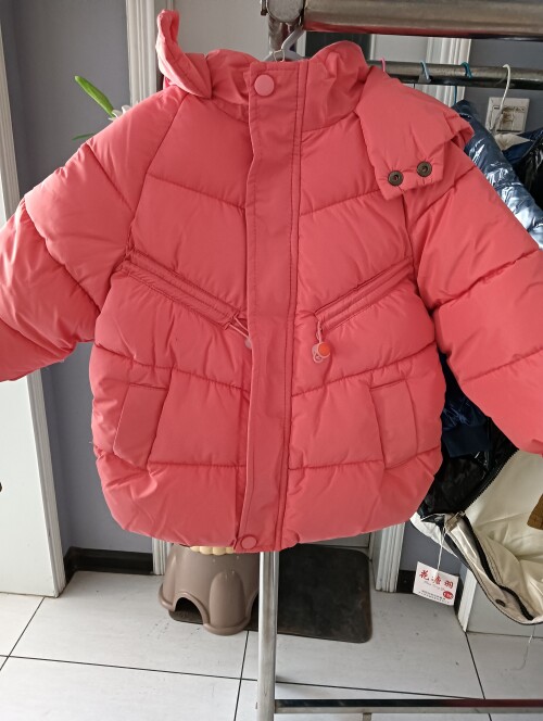 IMG20241104155553