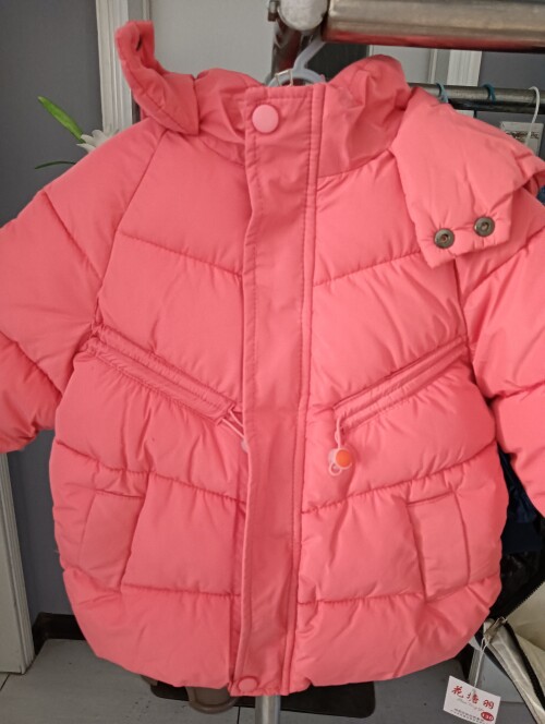 IMG20241104155515