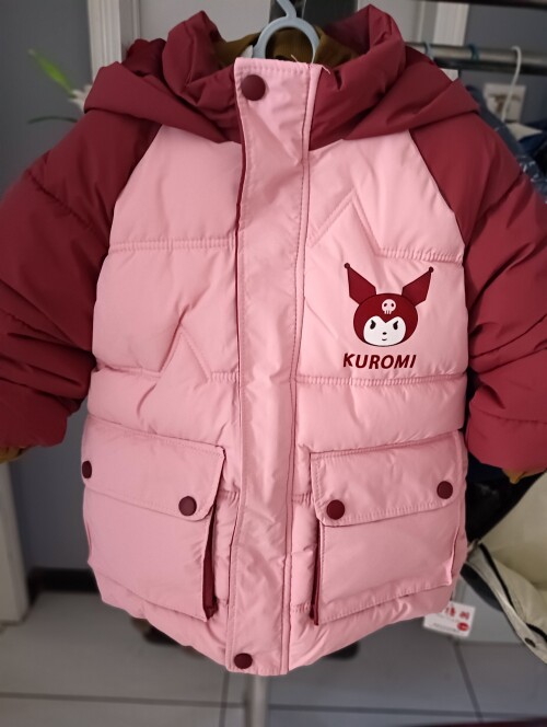 IMG20241104153544