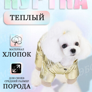 ae3f161c5c8b546753ebde6c5055d21a