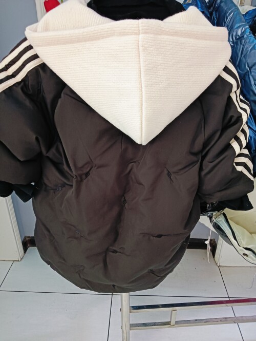 IMG20241104111544
