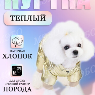 b619728f321e4444dcea0e09f686c67d