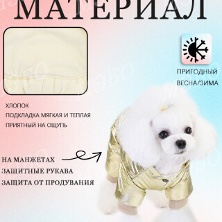 bdadf246106b26587882d33a11c754ab
