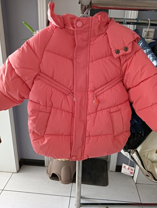 IMG20241104155555