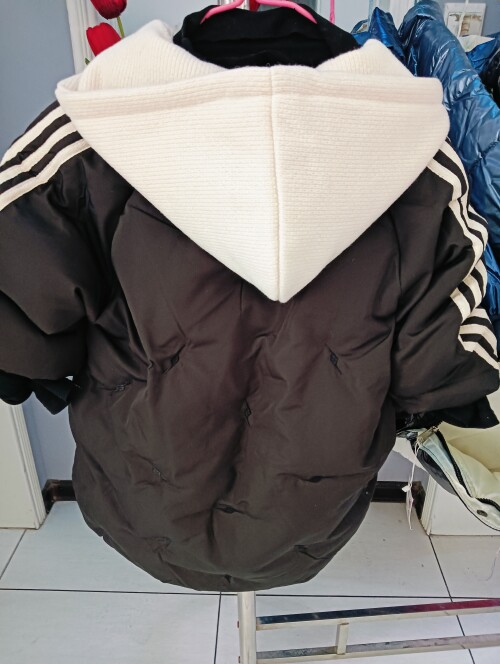 IMG20241104111546