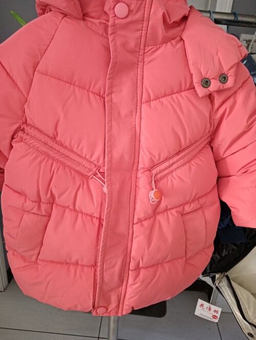 IMG20241104155750