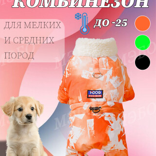 ca79857b0dab6a414bbc82df18ad55eb