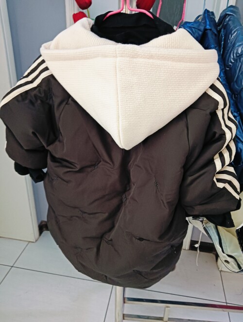 IMG20241104111527