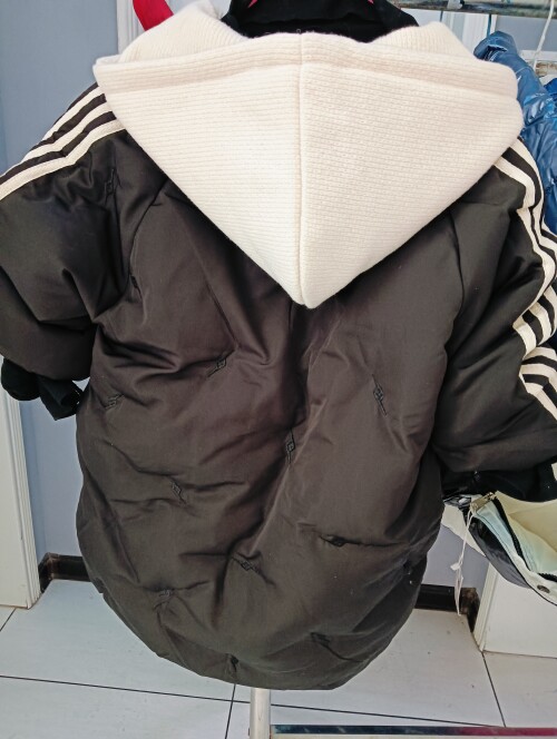 IMG20241104111537