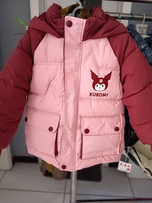 IMG20241104153410