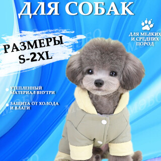 f2dccdf69a9d6a0b6a0108b53a6af4b3