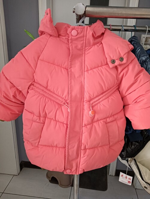 IMG20241104155717