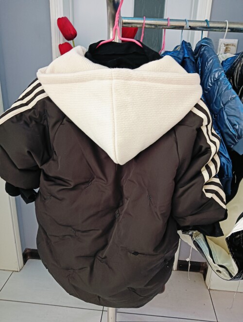 IMG20241104111530