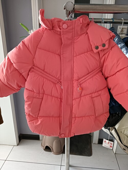 IMG20241104155543