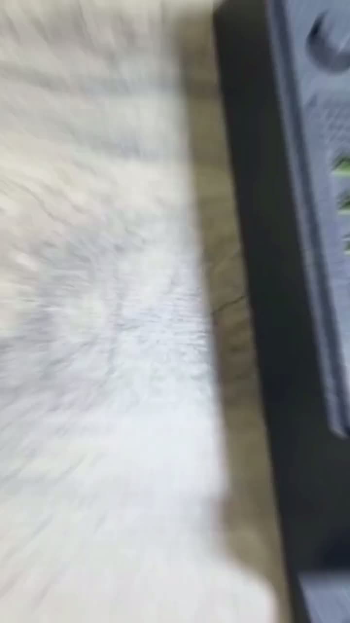 7506d54a5e6dcf8746c44636c77ca133.mp4