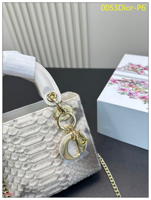 0053Dior P6