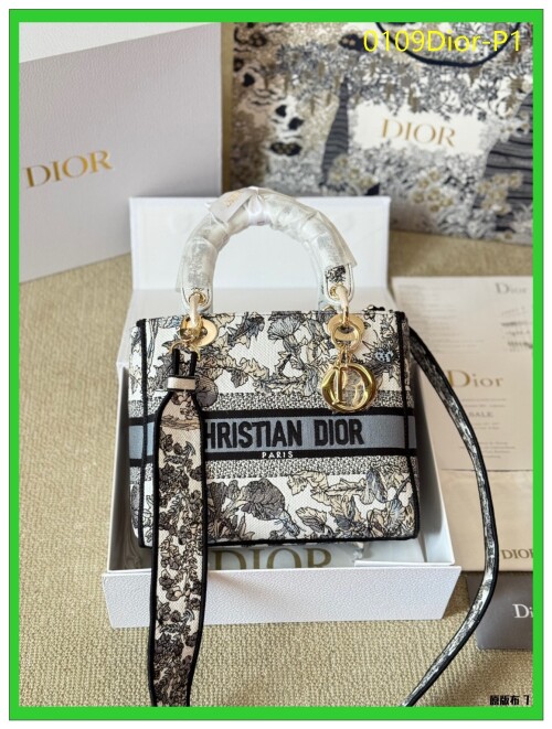 0109Dior P1