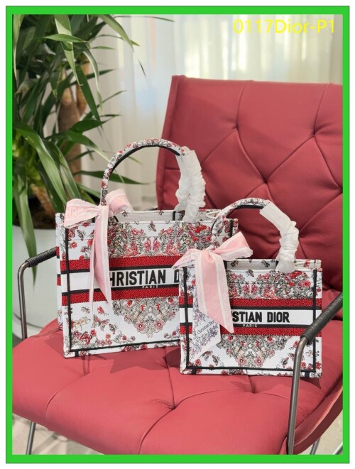 0117Dior P1