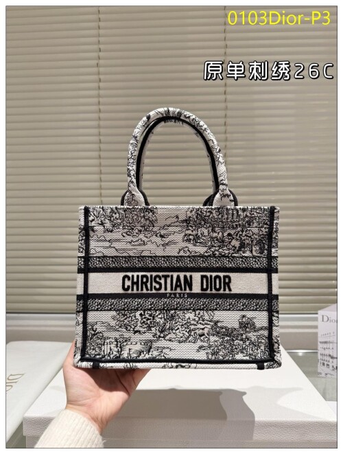 0103Dior P3