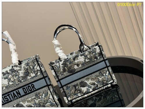 0100Dior P7