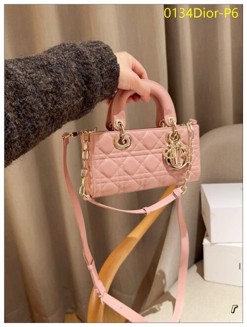 0134Dior P6