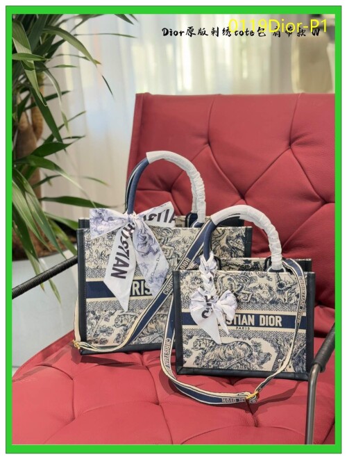 0119Dior P1