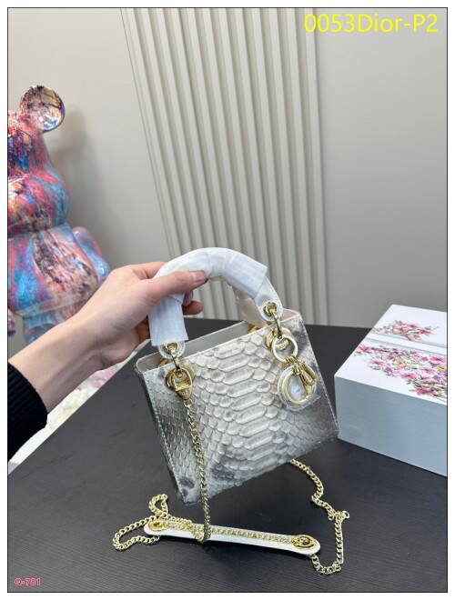 0053Dior P2