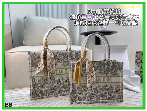 0150Dior P1