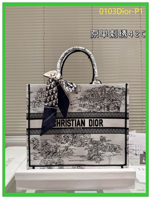 0103Dior P1