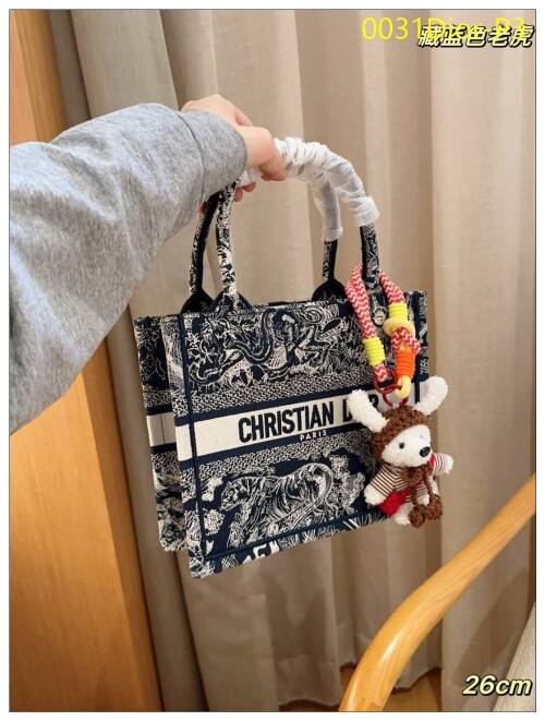 0031Dior P3