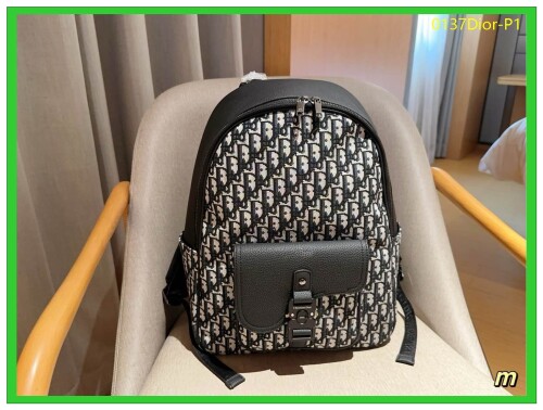 0137Dior P1
