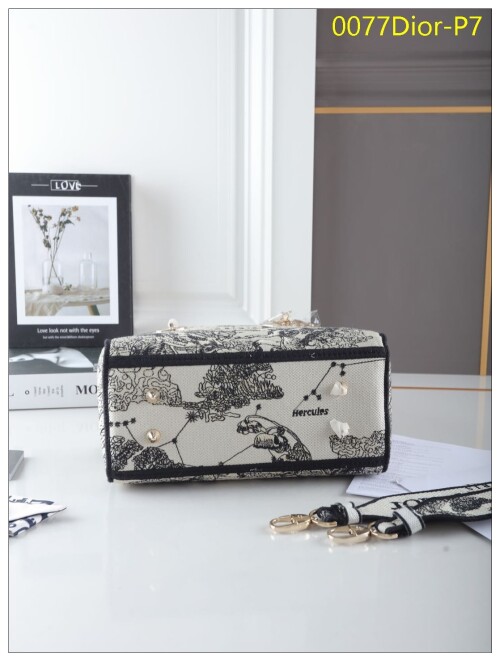 0077Dior P7