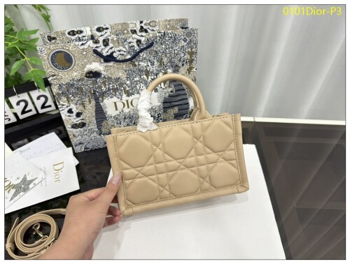 0101Dior P3