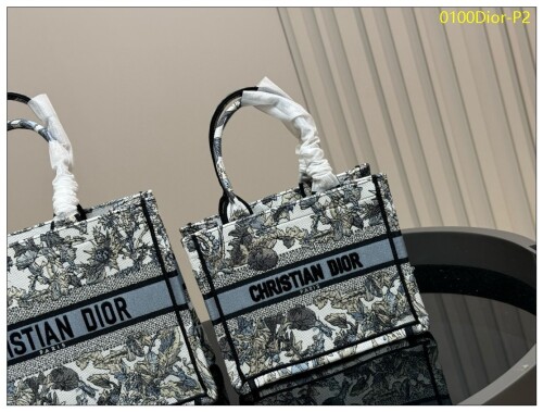 0100Dior P2