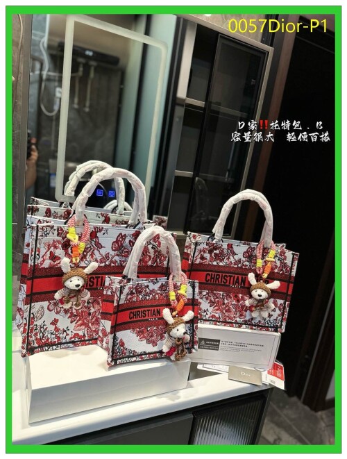 0057Dior P1