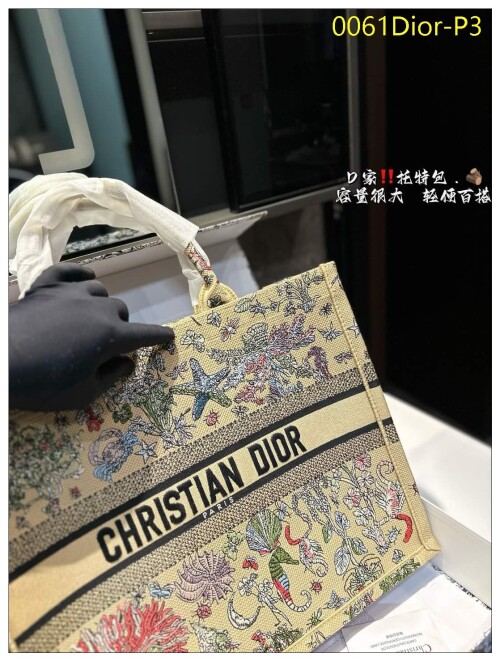 0061Dior P3
