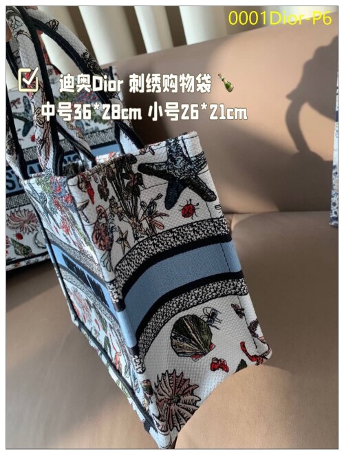 0001Dior P6