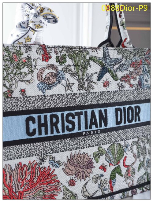 0088Dior P9