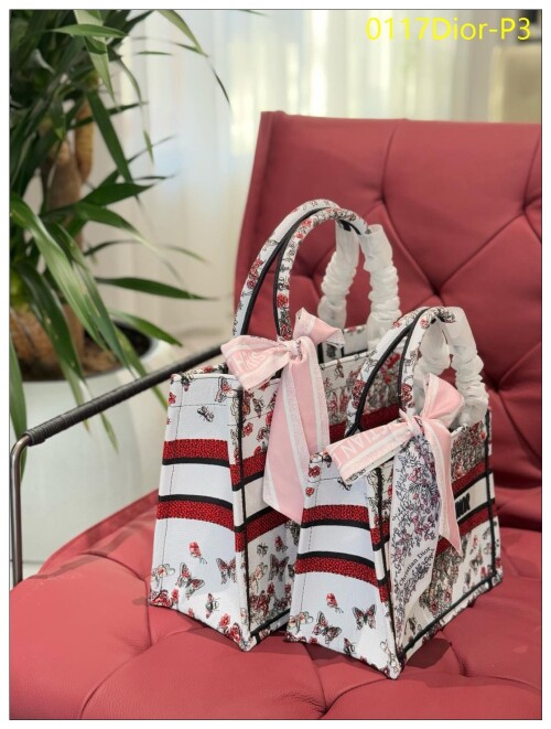 0117Dior P3