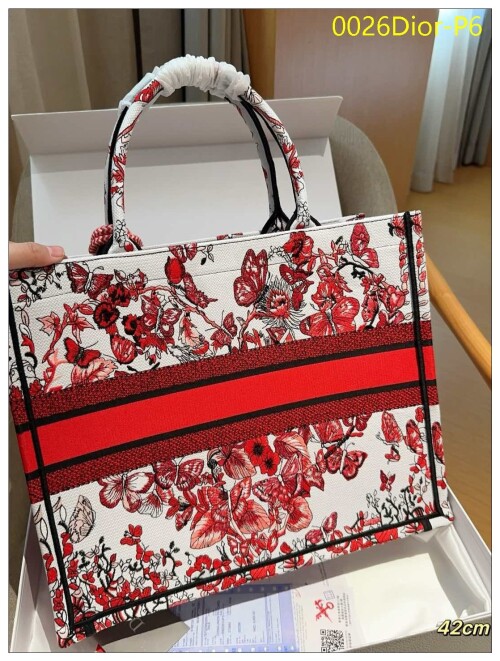 0026Dior P6