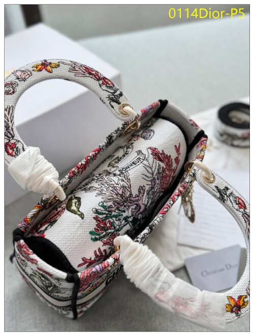 0114Dior P5
