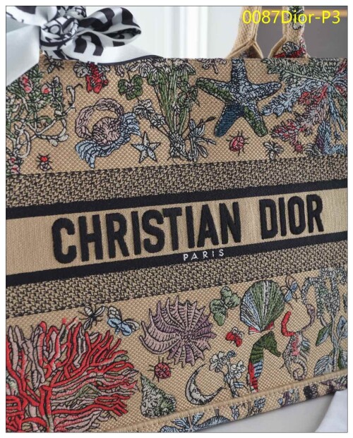 0087Dior P3