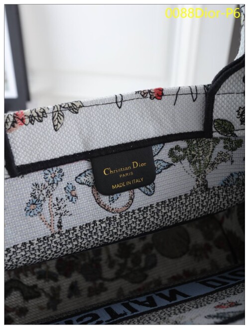 0088Dior P6