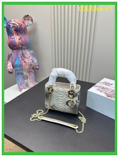 0053Dior P1
